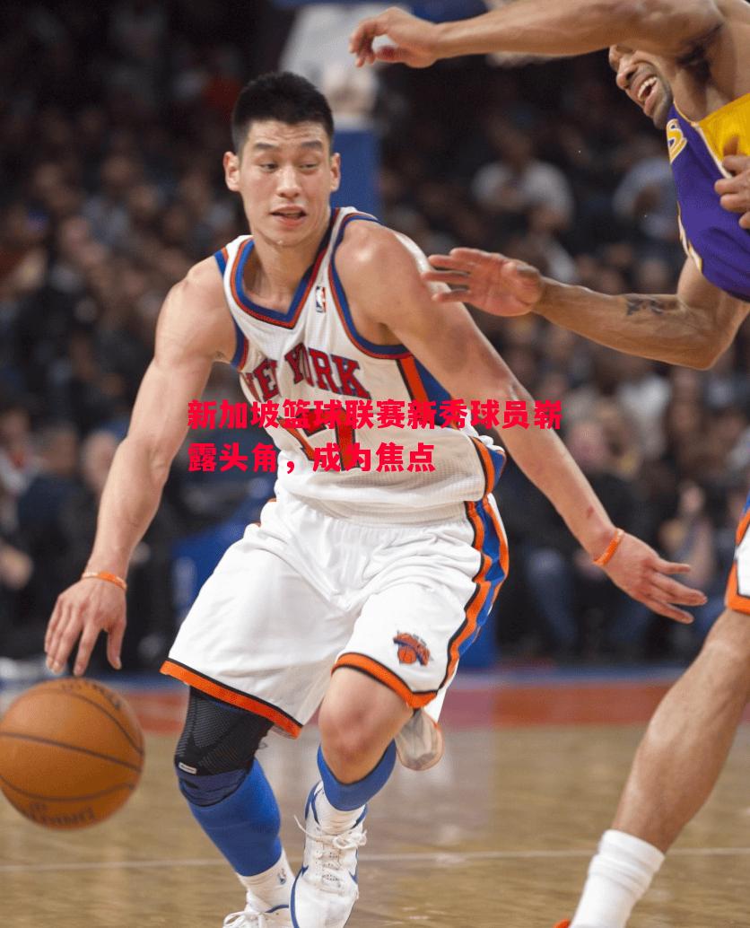 FB体育-新加坡篮球联赛新秀球员崭露头角，成为焦点