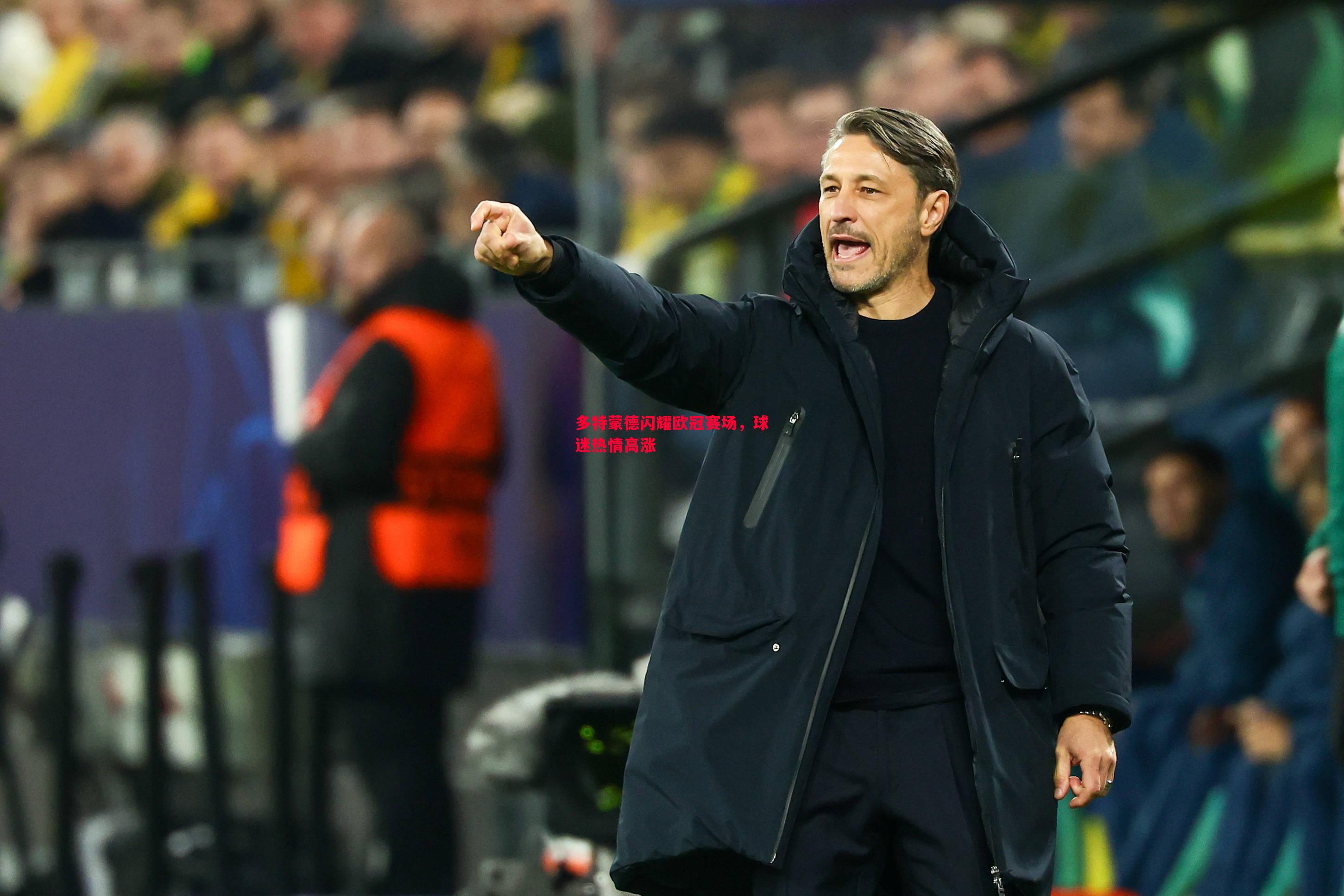 FB体育官网-多特蒙德闪耀欧冠赛场，球迷热情高涨